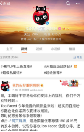 社交網(wǎng)紅貓