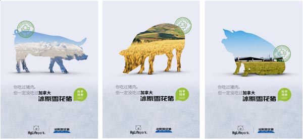 歐賽斯品牌觀察｜通過(guò)阿里雙11貓頭 看品牌資產(chǎn)容器該如何打造