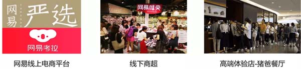 歐賽斯商業(yè)洞察：豬肉市場研究及湘村黑豬戰(zhàn)略破局