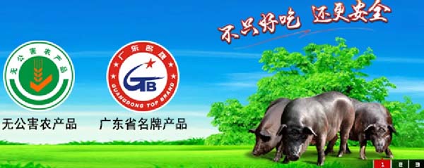 歐賽斯商業(yè)洞察：豬肉市場研究及湘村黑豬戰(zhàn)略破局