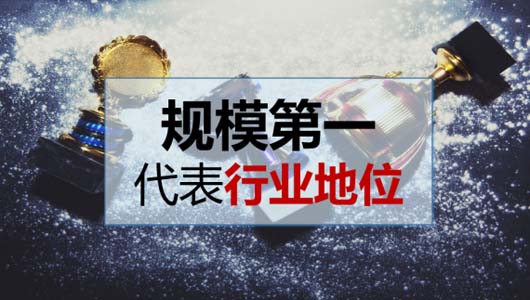 千億啄木鳥(niǎo)“殺手锏”：家庭維修信息對(duì)稱(chēng)性之規(guī)模全國(guó)第一