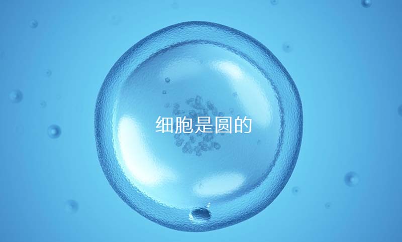 中至生物：大道至簡(jiǎn)·品牌百萬(wàn)級(jí)LOGO升級(jí)引爆品牌氣質(zhì)！