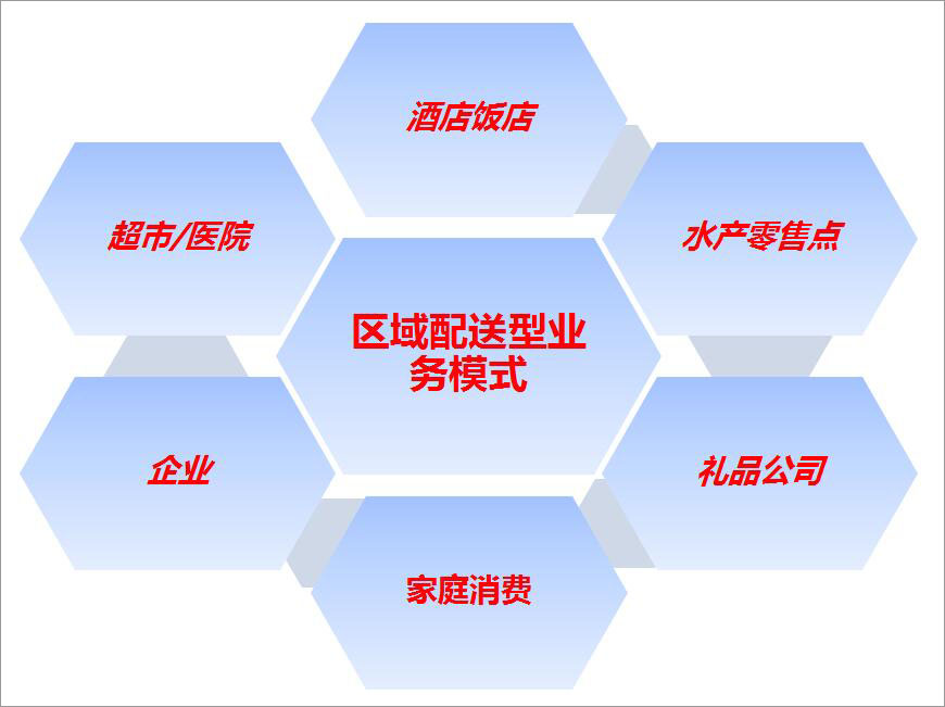 區(qū)域配送型業(yè)務模式