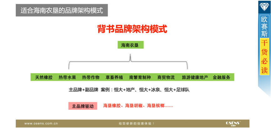品牌戰(zhàn)略，背書品牌架構(gòu)集中投資海南農(nóng)墾品牌資產(chǎn)