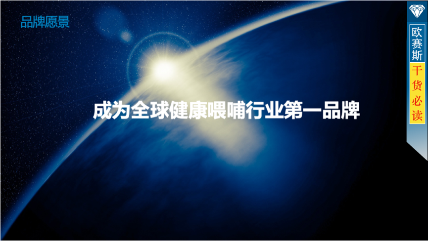 品牌思想領(lǐng)導(dǎo)：使命愿景價值觀，一出手占領(lǐng)行業(yè)制高點。