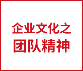 企業(yè)文化之團(tuán)隊精神