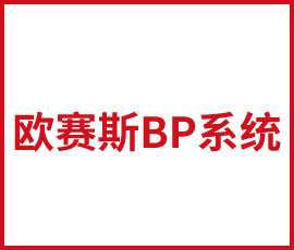 雯雯培訓如何使用歐賽斯BP系統(tǒng)